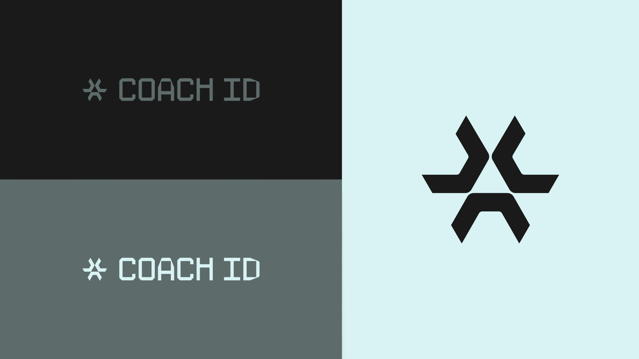 AP_Coach ID_26.12-18-min